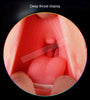 Image of Realistic Oral 3D Deep Throat with Tongue Teeth Maiden Artificial Vagina Male Masturbator Realistic Pussy Oral Sex Toys for Men